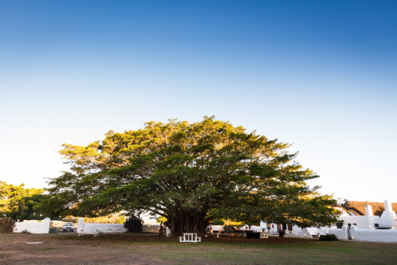 De Hoop Nature Reserve