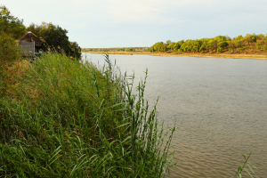 ST_R3029-Ngepi-Camp-Kavango-River.jpg